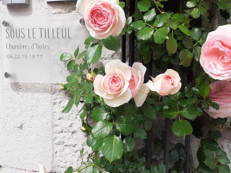Sous Le Tilleul A รูองส์ ภายนอก รูปภาพ